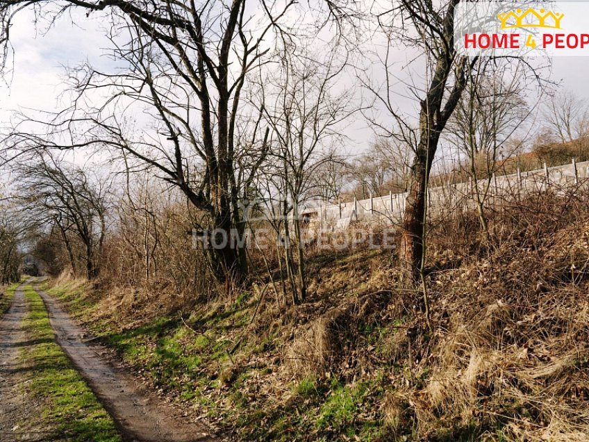 Prodej  stavebního pozemku 1107 m^2 Kaliště, Kaliště 