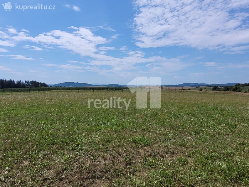 Prodej  stavebního pozemku 4210 m^2 Čížová, Čížová 