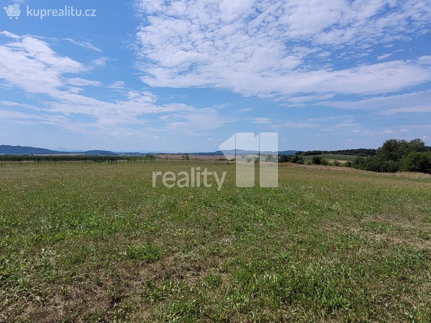 Prodej  stavebního pozemku 4210 m^2 Čížová, Čížová 