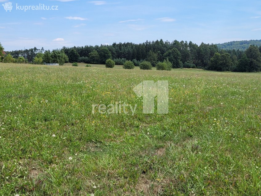 Prodej  stavebního pozemku 4210 m^2 Čížová, Čížová 