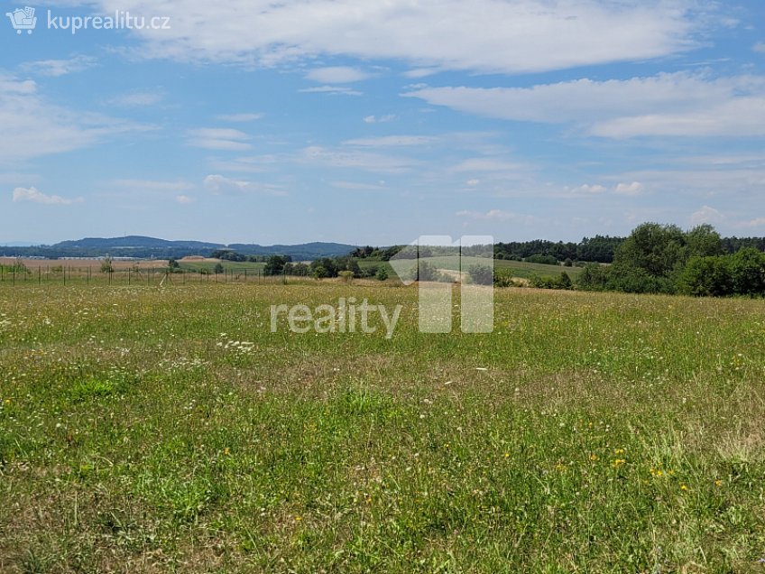 Prodej  stavebního pozemku 4210 m^2 Čížová, Čížová 