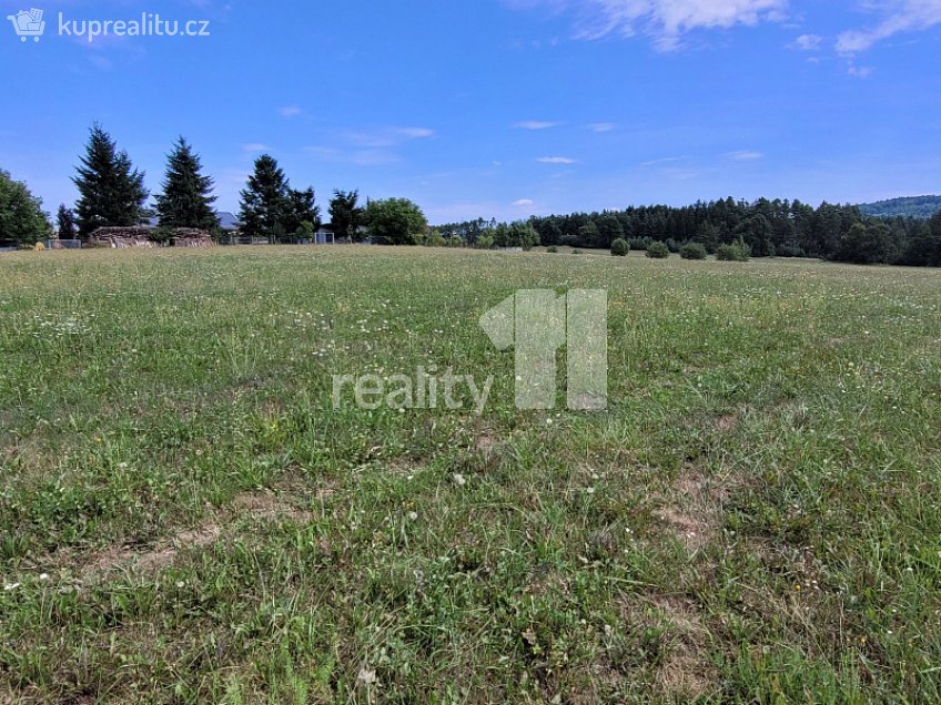 Prodej  stavebního pozemku 4210 m^2 Čížová, Čížová 