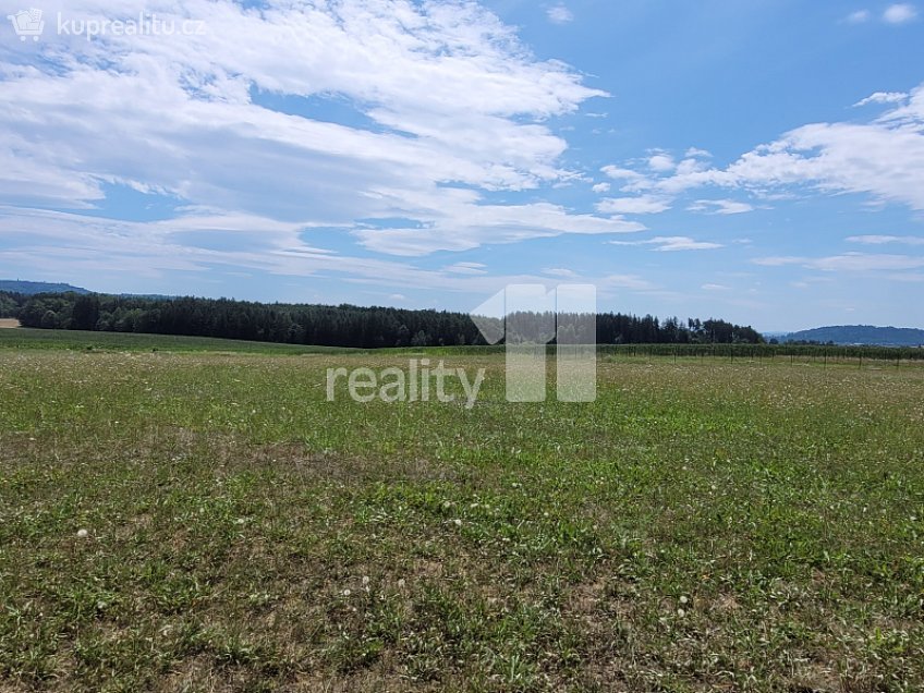 Prodej  stavebního pozemku 4210 m^2 Čížová, Čížová 