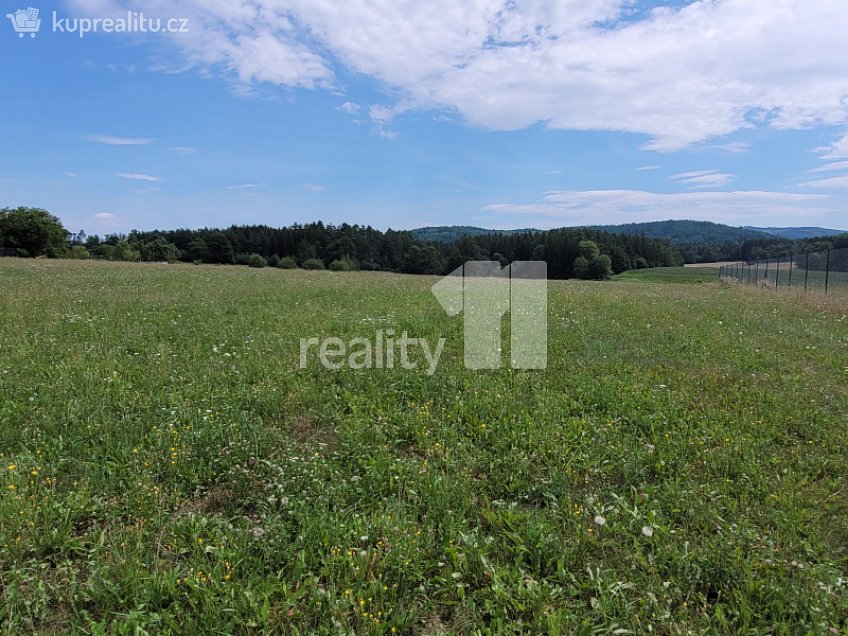 Prodej  stavebního pozemku 4210 m^2 Čížová, Čížová 