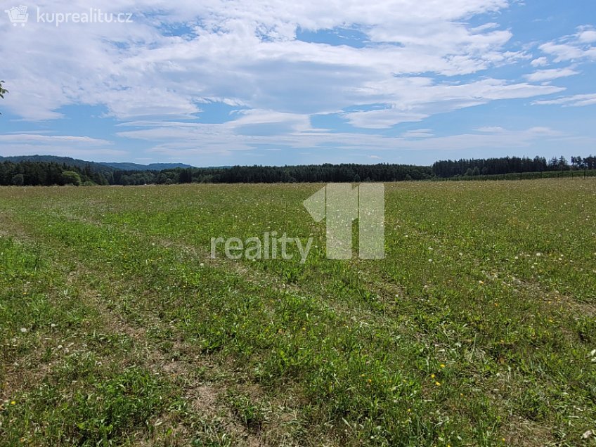 Prodej  stavebního pozemku 4210 m^2 Čížová, Čížová 