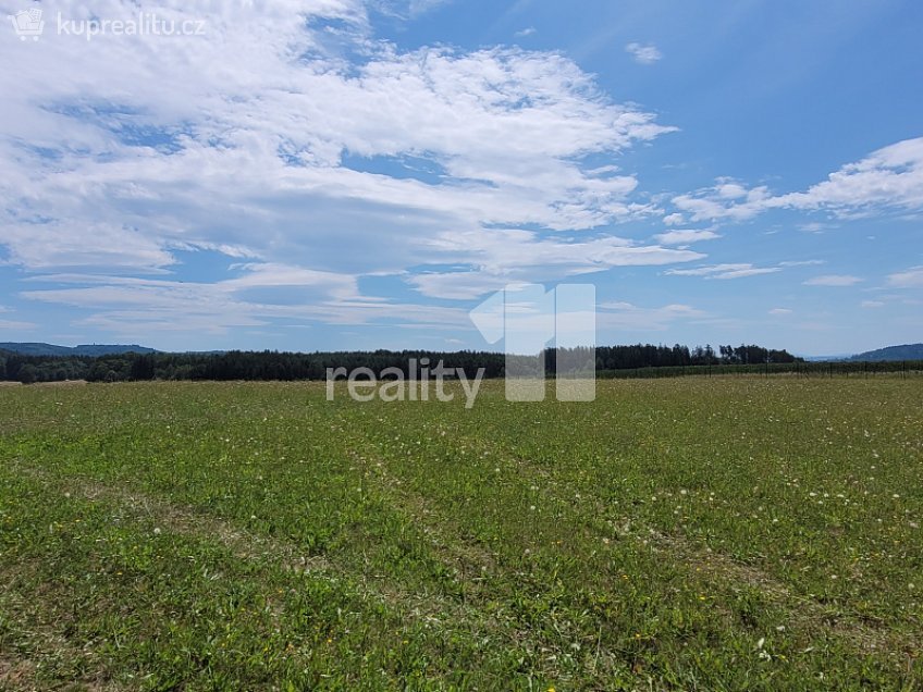 Prodej  stavebního pozemku 4210 m^2 Čížová, Čížová 