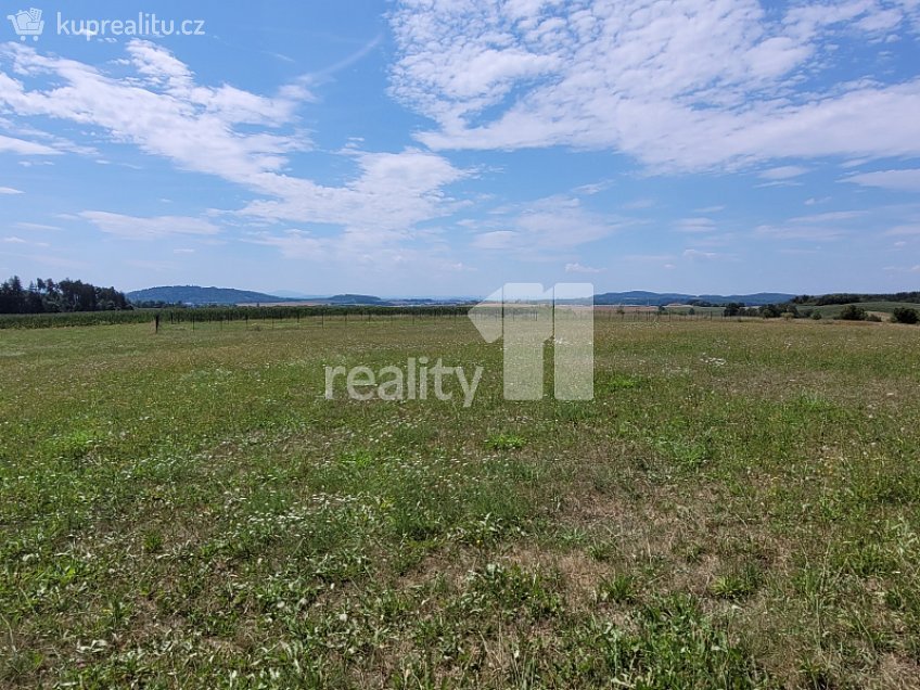 Prodej  stavebního pozemku 4210 m^2 Čížová, Čížová 