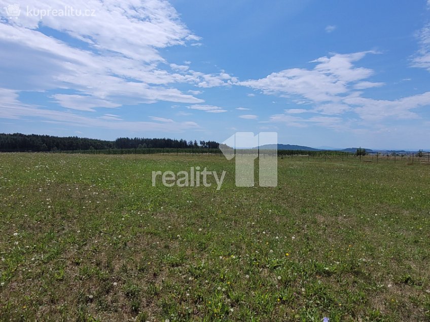 Prodej  stavebního pozemku 4210 m^2 Čížová, Čížová 