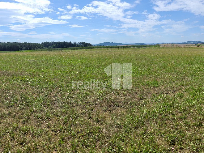 Prodej  stavebního pozemku 4210 m^2 Čížová, Čížová 