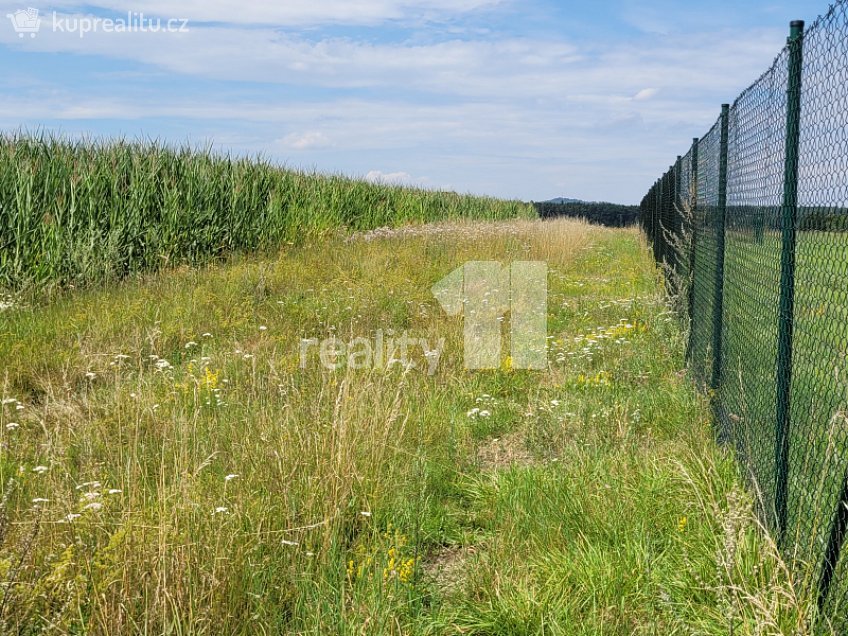 Prodej  stavebního pozemku 4210 m^2 Čížová, Čížová 