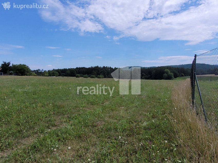 Prodej  stavebního pozemku 4210 m^2 Čížová, Čížová 