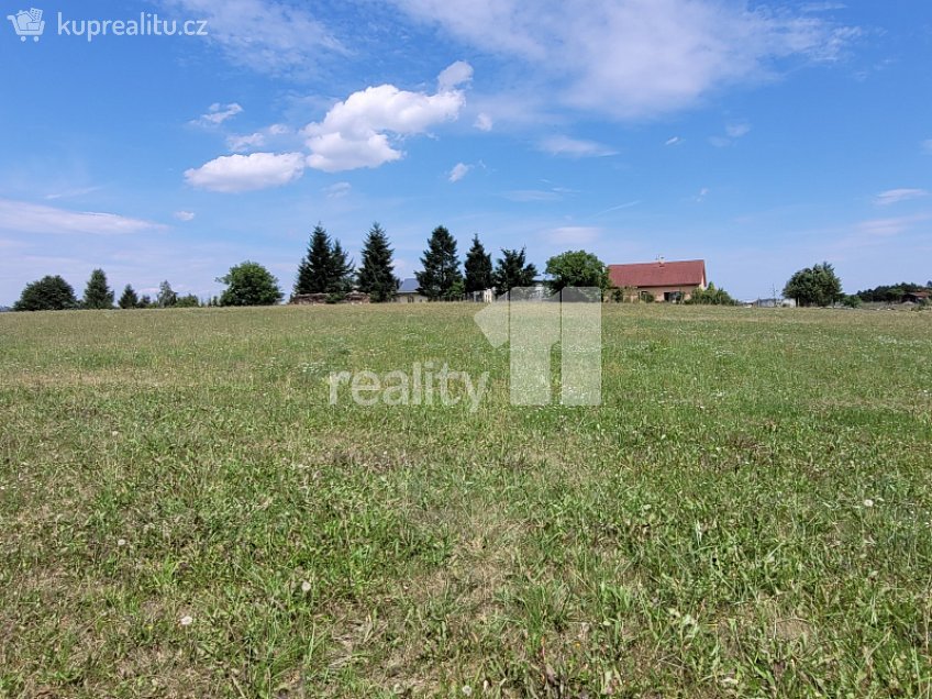 Prodej  stavebního pozemku 4210 m^2 Čížová, Čížová 