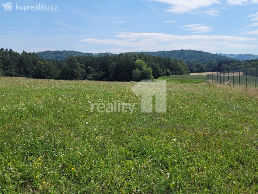 Prodej  stavebního pozemku 4210 m^2 Čížová, Čížová 