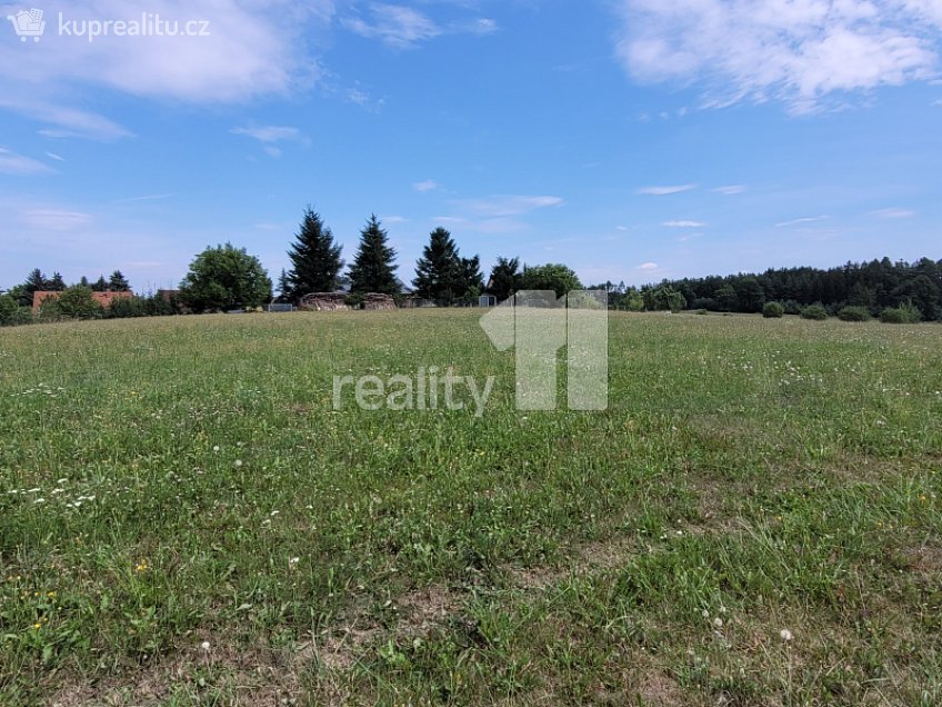 Prodej  stavebního pozemku 4210 m^2 Čížová, Čížová 