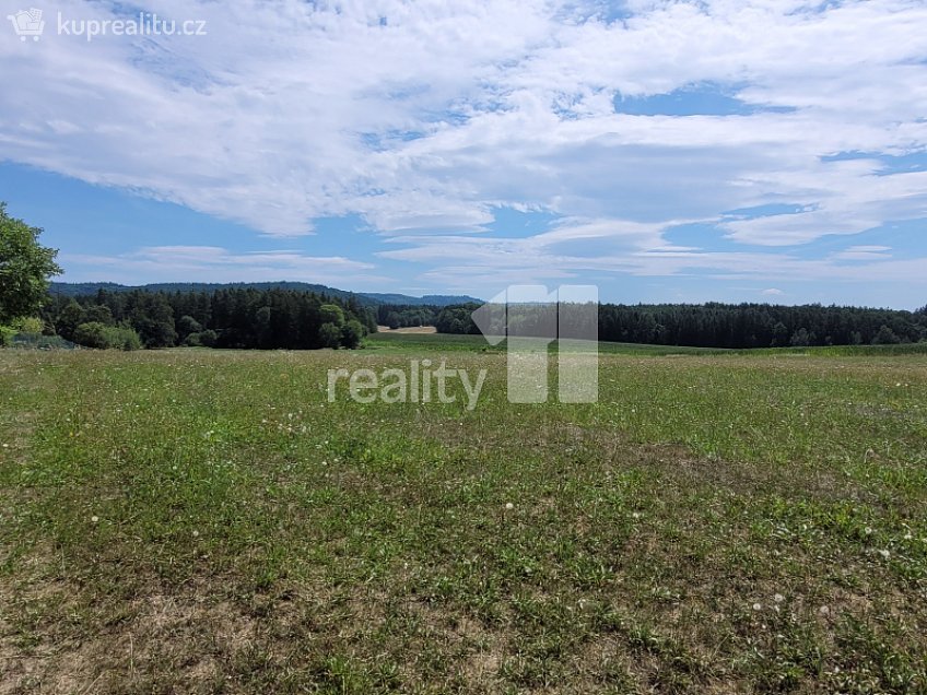 Prodej  stavebního pozemku 4210 m^2 Čížová, Čížová 