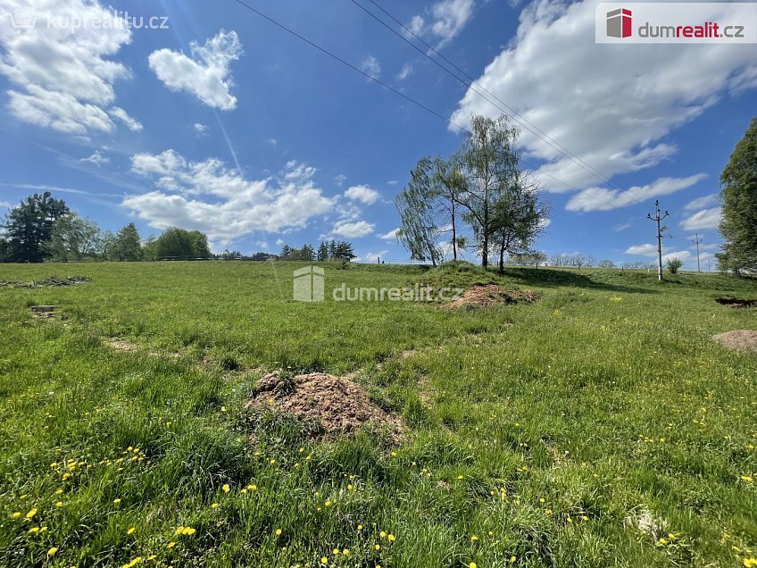 Prodej  stavebního pozemku 1100 m^2 Staré Buky, Staré Buky 