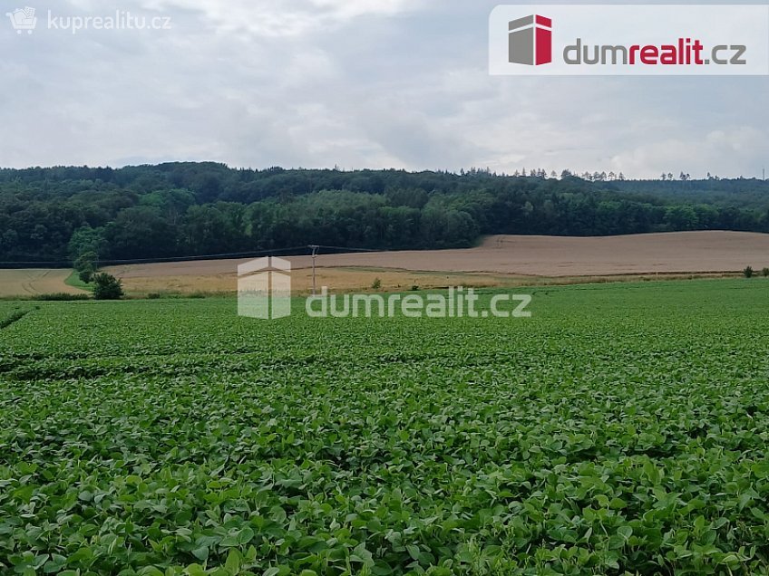 Prodej  louky 3000 m^2 Mladá Boleslav, Mladá Boleslav 