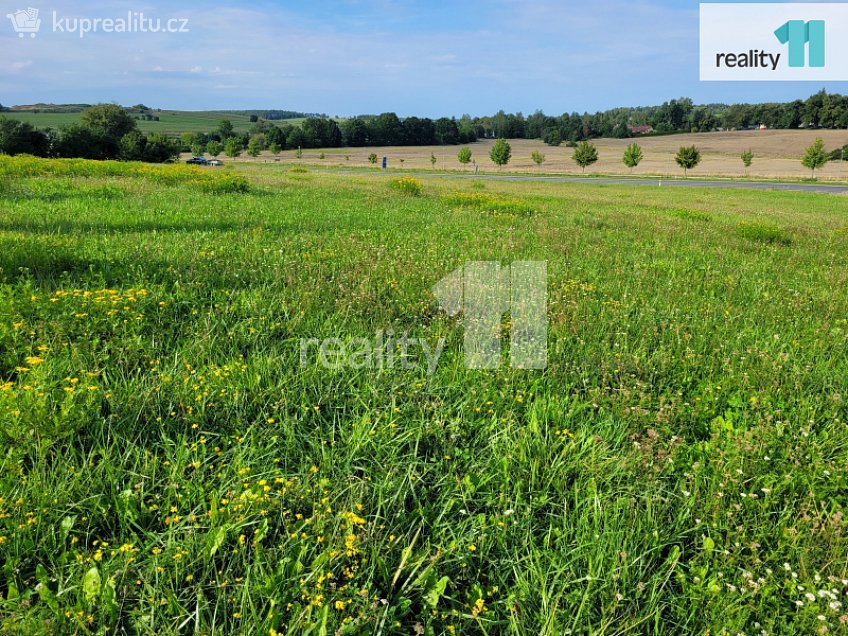 Prodej  stavebního pozemku 7310 m^2 Robinson, Písek 