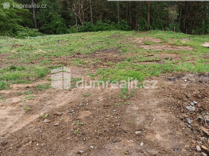 Prodej  stavebního pozemku 4173 m^2 Ludvíkovice, Ludvíkovice 