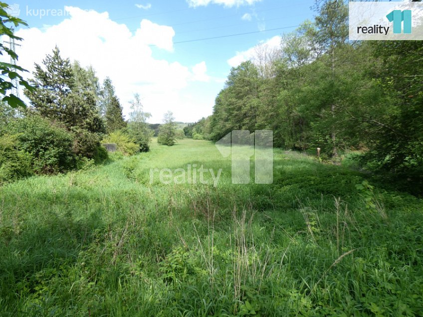 Prodej  stavebního pozemku 600 m^2 Stružná, Stružná 