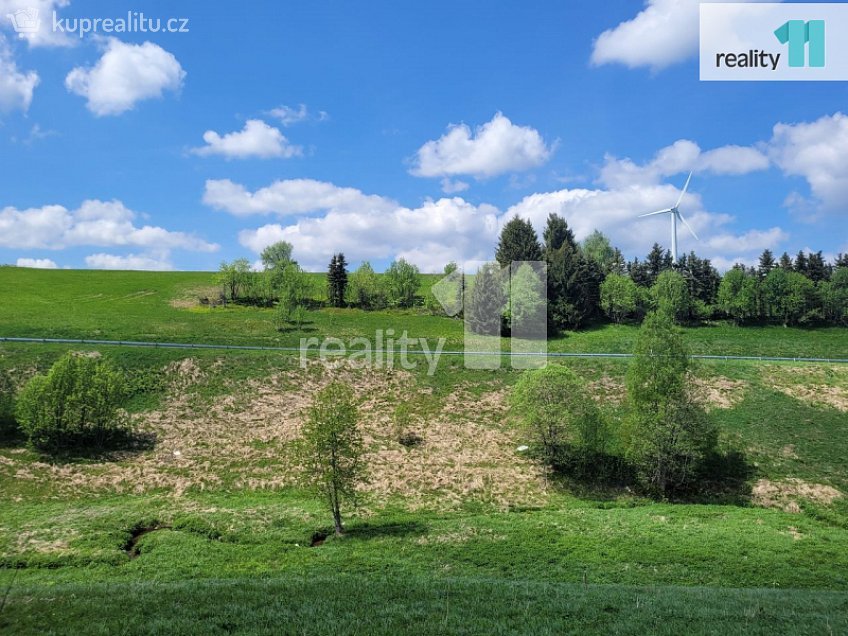 Prodej  stavebního pozemku 2335 m^2 Loučná pod Klínovcem, Loučná pod Klínovcem 