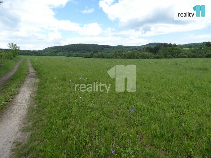 Prodej  stavebního pozemku 600 m^2 Stružná, Stružná 