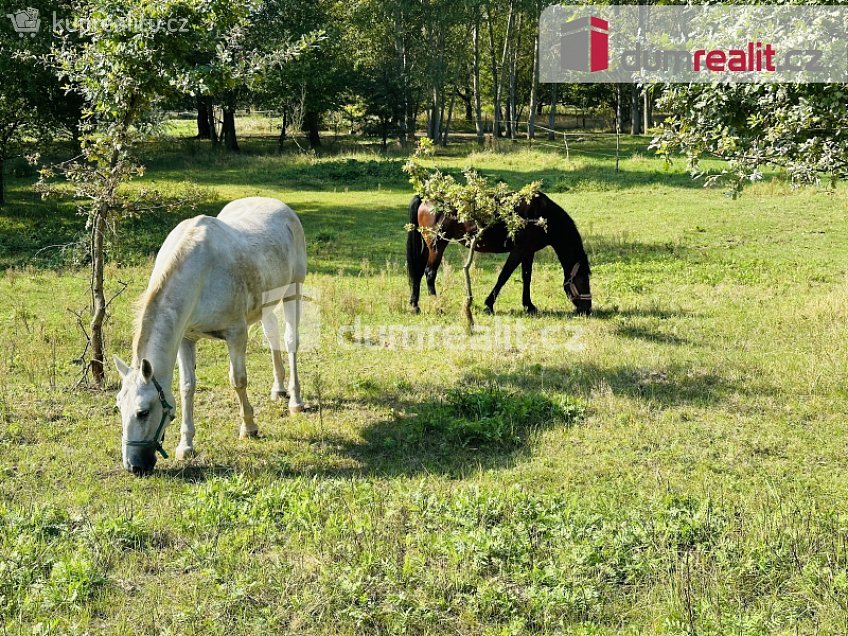 Pronájem  zahrady 1350 m^2 U Dráhy, Neratovice 