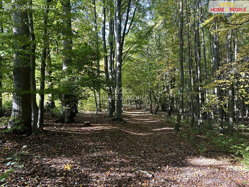 Prodej  stavebního pozemku 3043 m^2 Černokostelecká, Černé Voděrady 