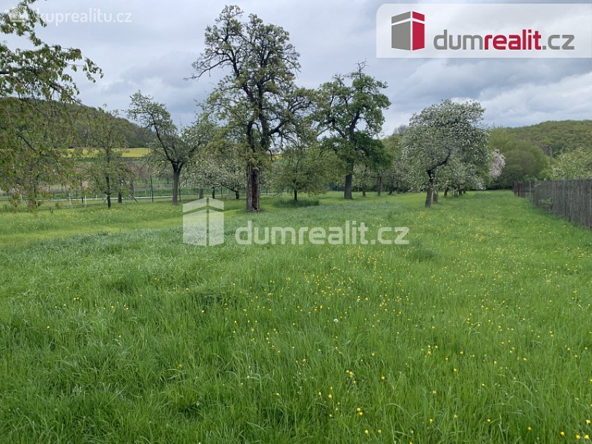 Prodej  usedlosti 485 m^2 Vinařice, Vinařice 