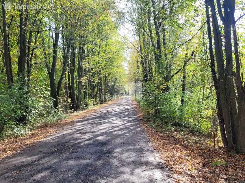 Prodej  stavebního pozemku 7227 m^2 Čeperka, Čeperka 