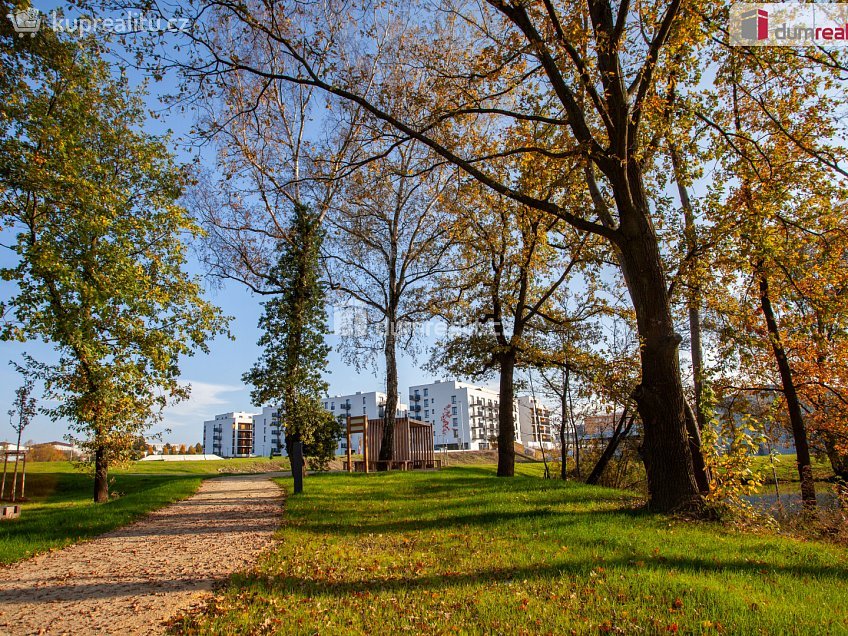 Pronájem bytu 1+kk 65 m^2 Vrbenská, České Budějovice 