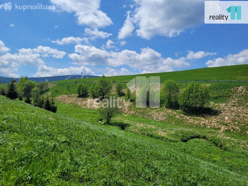 Prodej  stavebního pozemku 2335 m^2 Loučná pod Klínovcem, Loučná pod Klínovcem 