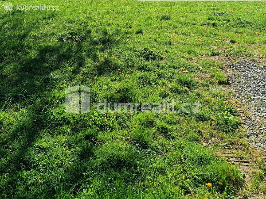 Prodej  stavebního pozemku 4173 m^2 Ludvíkovice, Ludvíkovice 