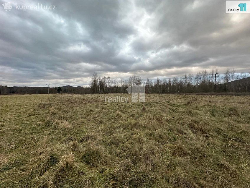 Prodej  louky 8569 m^2 Stráž pod Ralskem, Stráž pod Ralskem 