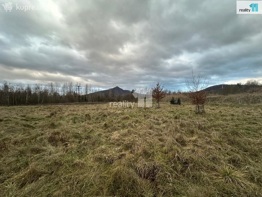 Prodej  louky 8569 m^2 Stráž pod Ralskem, Stráž pod Ralskem 