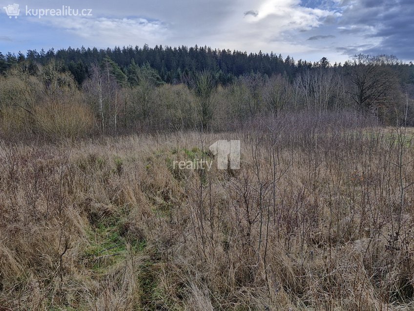 Prodej  stavebního pozemku 2983 m^2 Kynšperk nad Ohří, Kynšperk nad Ohří 