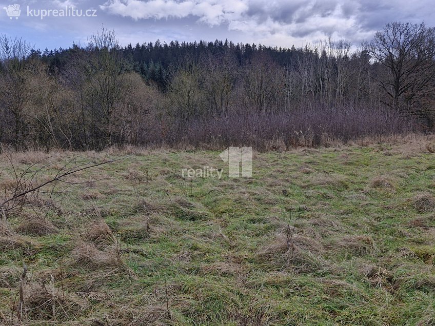 Prodej  stavebního pozemku 2983 m^2 Kynšperk nad Ohří, Kynšperk nad Ohří 