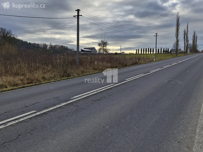 Prodej  stavebního pozemku 2983 m^2 Kynšperk nad Ohří, Kynšperk nad Ohří 