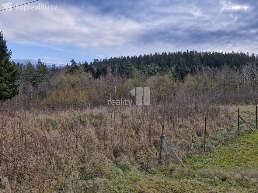 Prodej  stavebního pozemku 2983 m^2 Kynšperk nad Ohří, Kynšperk nad Ohří 