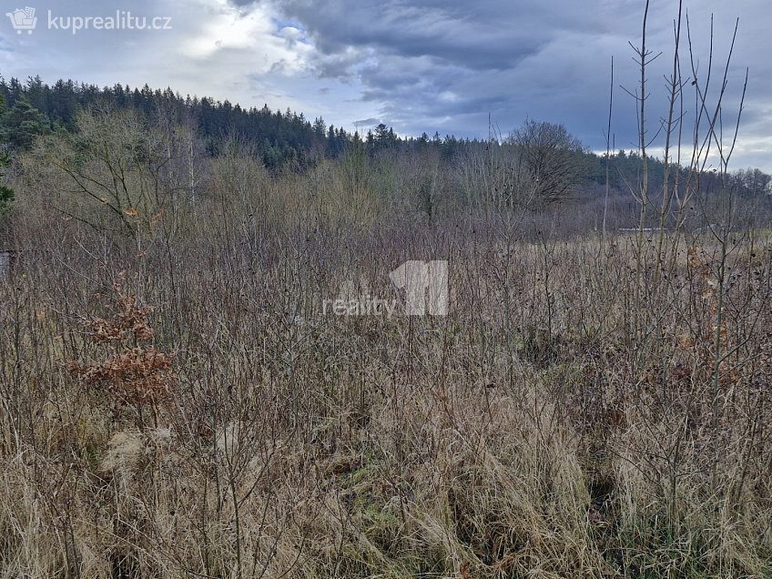 Prodej  stavebního pozemku 2983 m^2 Kynšperk nad Ohří, Kynšperk nad Ohří 