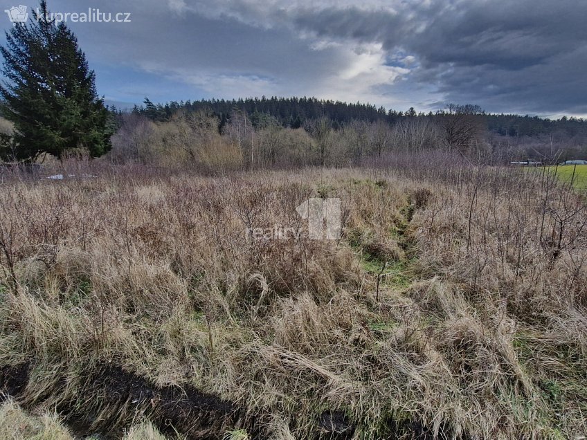 Prodej  stavebního pozemku 2983 m^2 Kynšperk nad Ohří, Kynšperk nad Ohří 