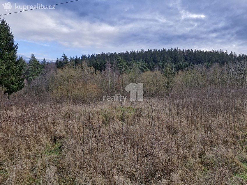 Prodej  stavebního pozemku 2983 m^2 Kynšperk nad Ohří, Kynšperk nad Ohří 