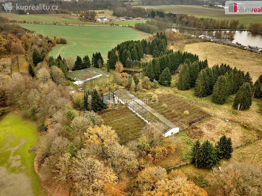 Prodej  stavebního pozemku 126960 m^2 Chodová Planá, Chodová Planá 