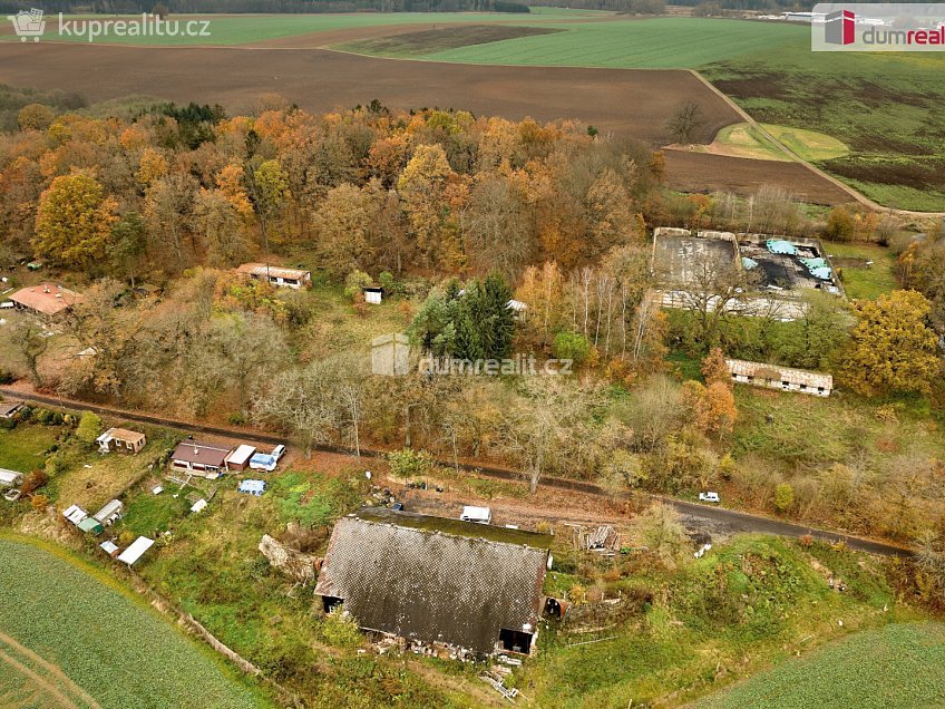 Prodej  stavebního pozemku 126960 m^2 Chodová Planá, Chodová Planá 