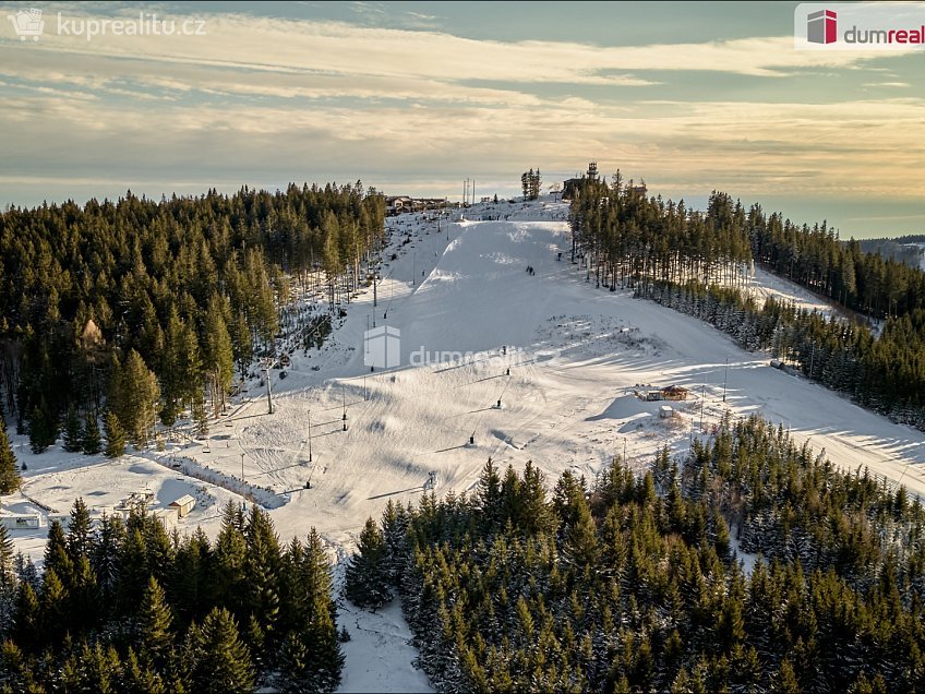 Prodej  rodinného domu 80 m^2 Plešivecká, Abertamy 