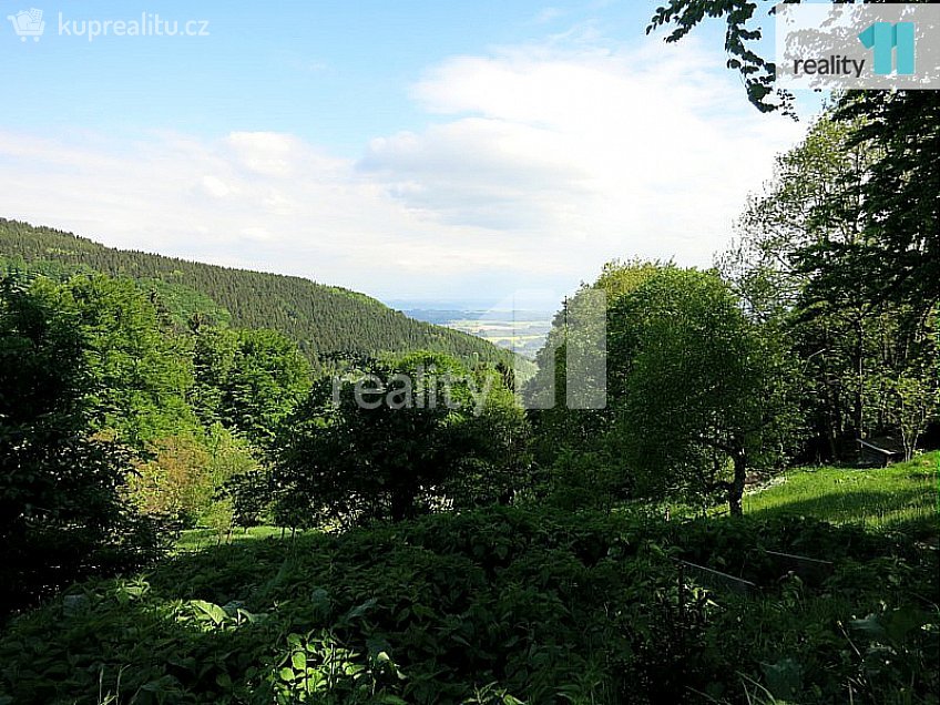 Prodej  rodinného domu 176 m^2 Světlá pod Ještědem, Světlá pod Ještědem 