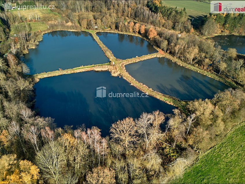 Prodej  rodinného domu 118 m^2 Kynšperk nad Ohří, Kynšperk nad Ohří 