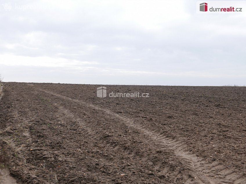 Prodej  stavebního pozemku 10000 m^2 Černouček, Černouček 