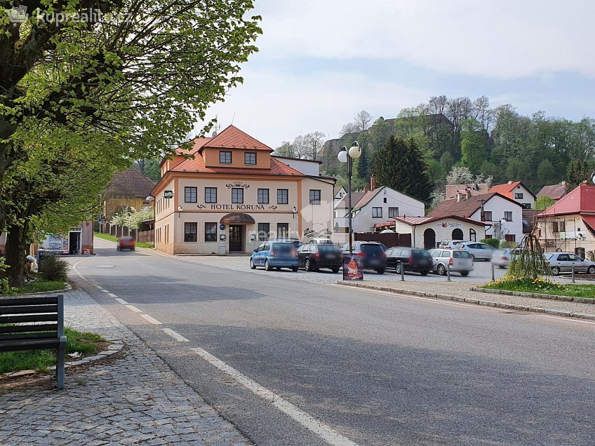 Prodej  ubytovacího zařízení 780 m^2 Pecka, Pecka 