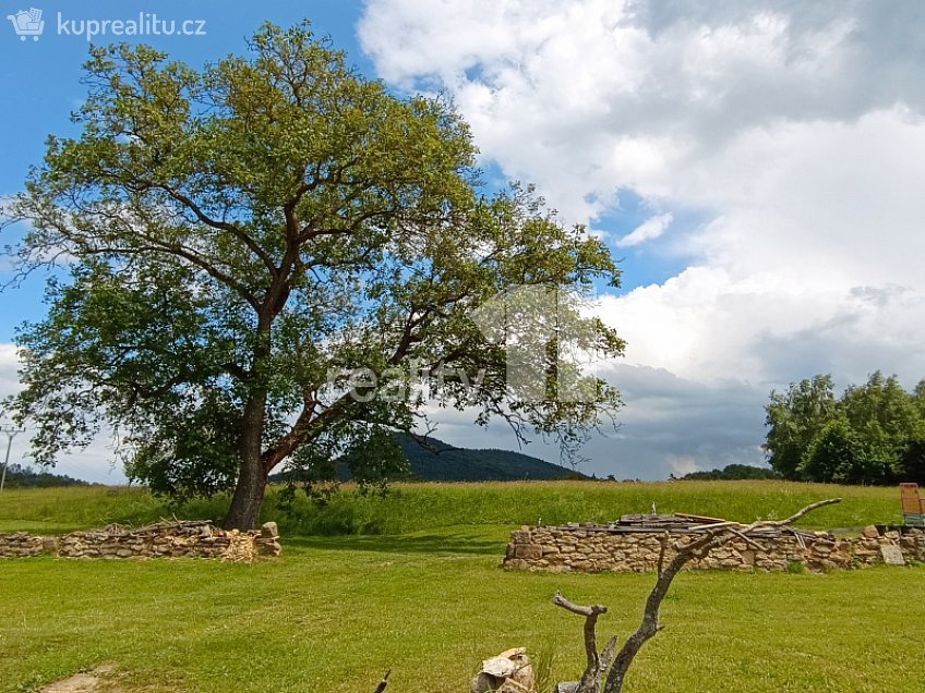 Prodej  stavebního pozemku 113691 m^2 Dubá, Dubá 